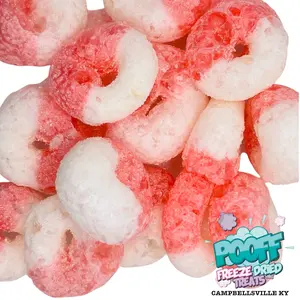 Freeze Dried Watermelon Rings
