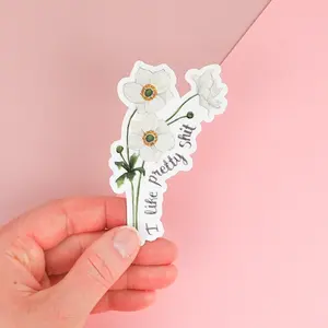 Laptop Sticker Funny Sticker Vinyl Sticker