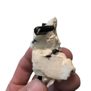 Black tourmaline w. Albite