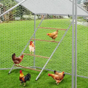 Chicken Roosting Bars for Coop, Chicken Perch for Coop, Fits Outdoor Coop, Farms, All Poultry, Baby Chicks, 40''L x 55''H