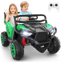 Green-24V 2-Seater UTV