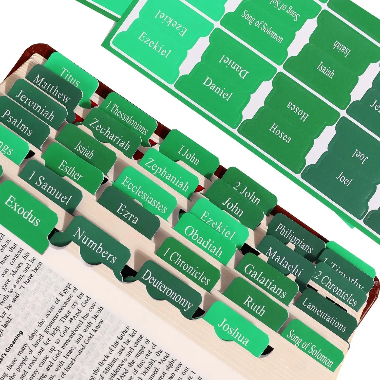 Green Tabs - Chapter Tabs for Scripture Study, Fits KJV/NIV/ESV for Men ...
