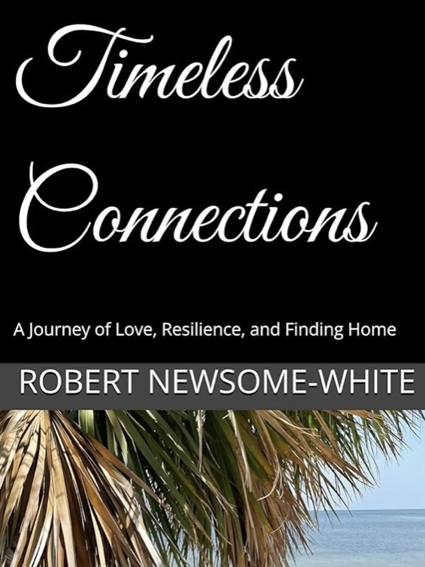 Robert Anthony Newsome-White LGBT Romance Novel - Timeless Connections, Unabridged, Soft Cover, 2024 Edition, English