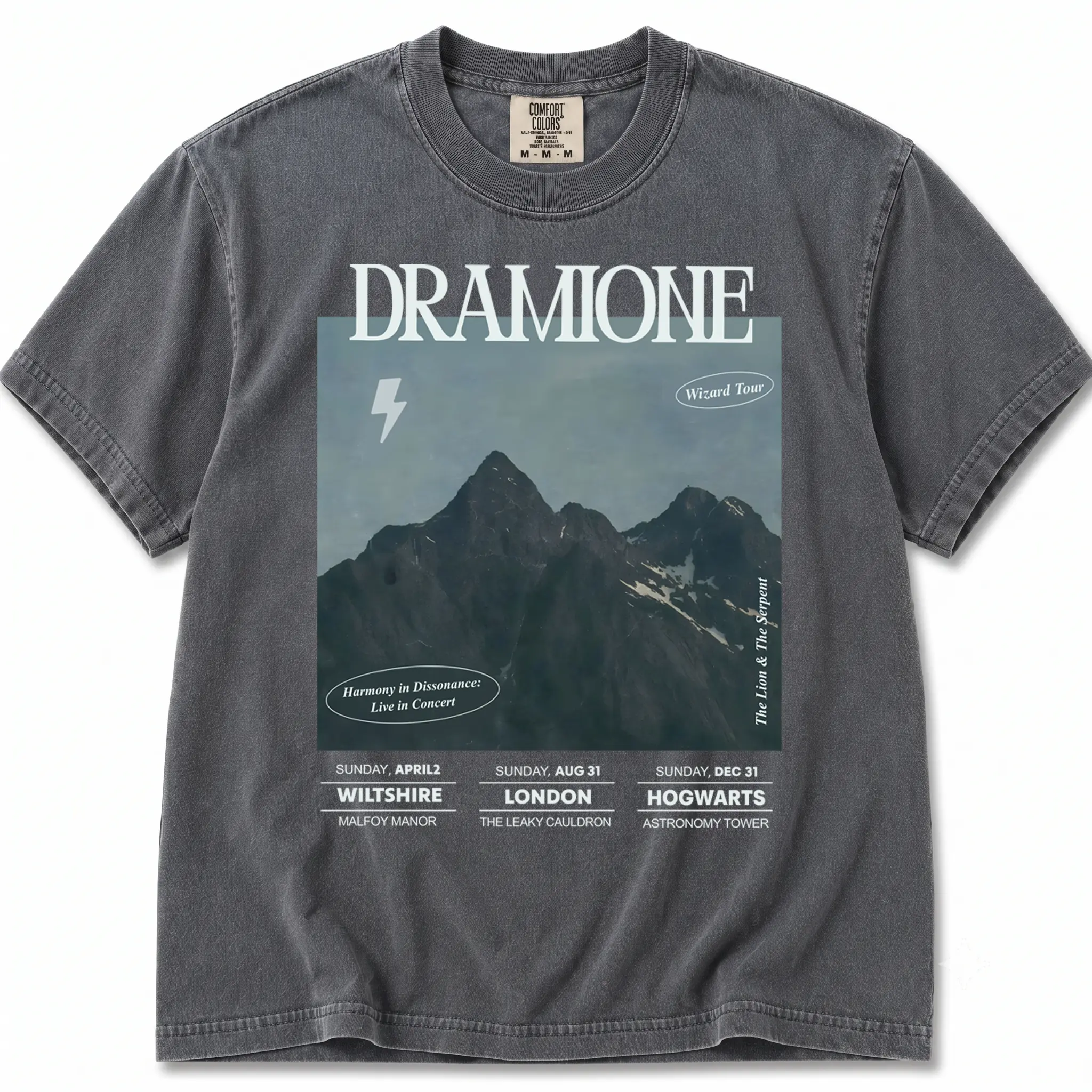 Dramione Comfort Colors Shirt, Dramione Shirt Draco Manacled Sweatshirt Fanfiction Dramione Gift Morally Grey Shirt Hermione Draco Wizard Shirt Snake House Shirt Malfoy