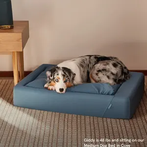 Tuft & Needle Original Dog Bed