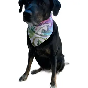 Happy Dragon Scrunchie Bandana