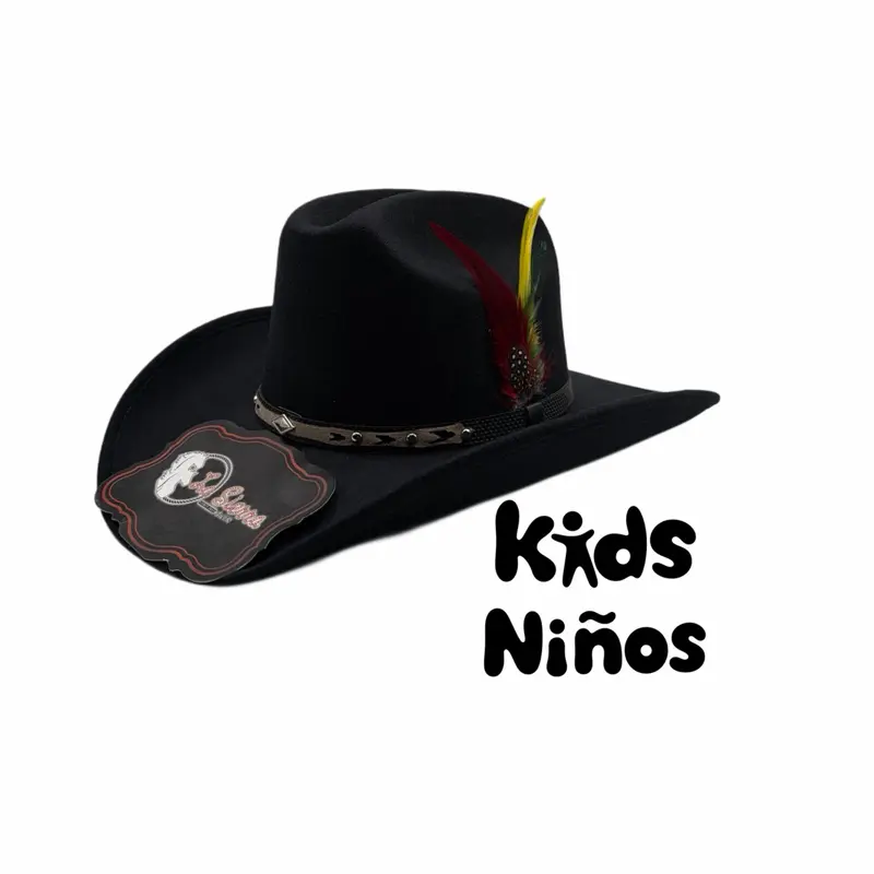 Western Rodeo Felt With Feather Hat- Small Sizes/ Sombrero Tejana Estilo Sinaloa Tallas Chicas Con Plumita