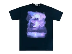 Kith Perfect Storm Vintage Tee Black (men) by StockX