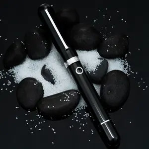 Nahvalur Nautilus Cephalopod Silver Ebonite Fountain Pen