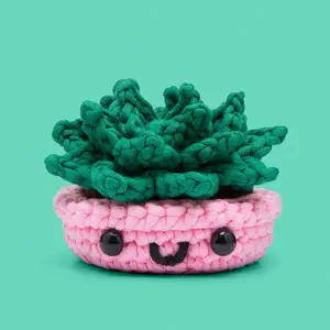Succulent Crochet Kit