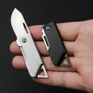 Mini Outdoor Stainless Steel Folding Knife, Portable Lightweight, Sharp Blade, Keychain Accessory, Survival Tools, Durable, Ideal for Camping Hiking Hunting Fishing Edc
