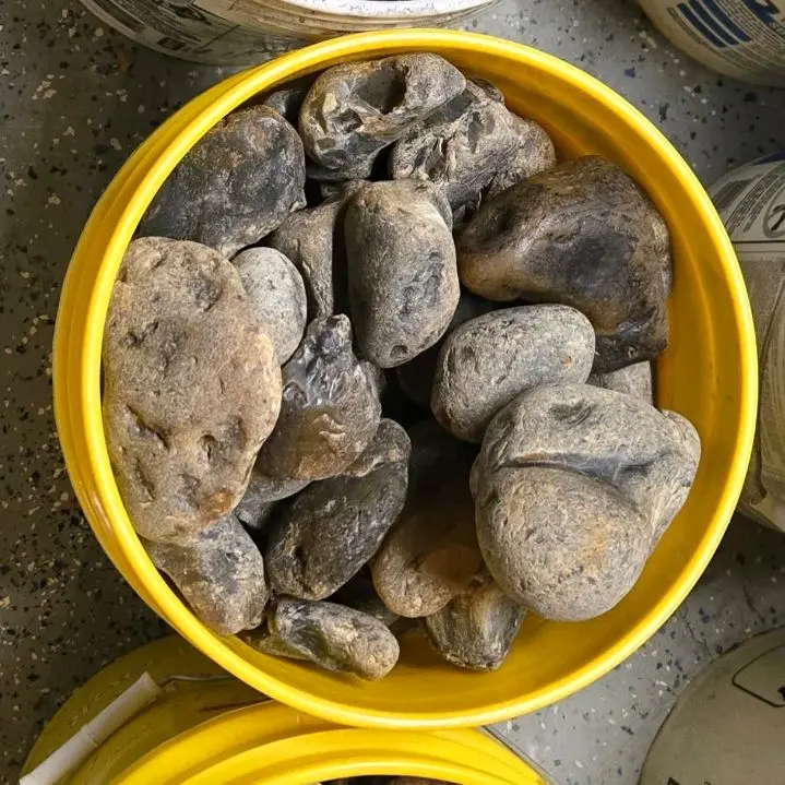 High Grade Montana Agates High Grade Montana Agates
