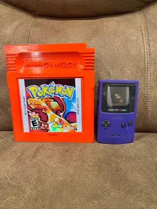 Oversized Charizard Pokémon cartridge Art/charmander/charmeleon/pokeball/artwork/mancave