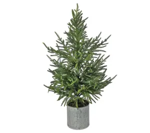 Valerie Parr Hill 36" Potted Norfolk Pine Tree