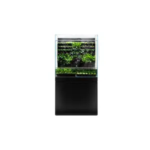 UNS Foresta Plant Holding System - 174