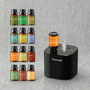 Featwell Waterless Essential Oil Diffuser with 3 Spray Modes Mini Portable Diffuser GiftSet for Home Bedroom Office