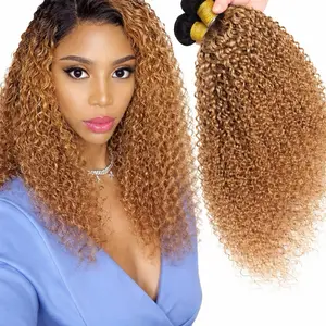 16”- Inche 2 Pk Of Kinky Curly Ombre Color Human Hair Bundle 1B/27 Curly 16 Inches 2-Pack for Stylish Looks Ombre Bundle Humain Hair 2-PkOf 16 Inches