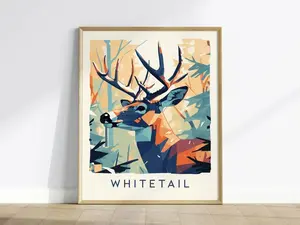 Whitetail Deer Poster | Wildlife Buck Hunting Cabin Wall Art Gift