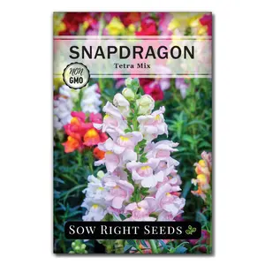 Tetra Mix Snapdragon Seeds