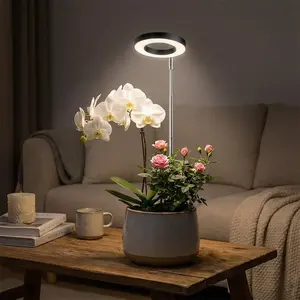 Grow Light, Plant Lamp, Small Grow Lights for Indoor Plants, LED Plant Growth Light, Full Spectrum with 4-Level Dimming & 2/4/8H Auto Timer, Dual Installation (Soil/Base), Adjustable Height & Angle, for Bedroom Living Room Office Desk