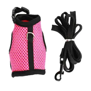 Adjustable Pet Harness & Leash for Rabbits, Bunnies, & Cats