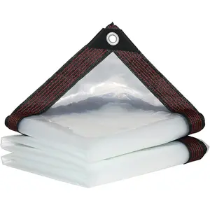 Clear Tarps Heavy Duty Waterproof Transparent Tarpaulin with Grommets Greenhouse Plastic Panels for Covering Garden Plant Camping Supplies, Deck Porch Patio Gazebo Curtains (3 X 2.5 M/10 X 8 Ft) Etnorsu