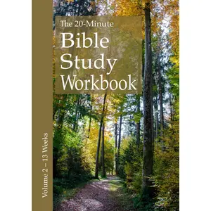 The 20-Minute Bible Study Workbook - Volume 2: Matthew, 1 Samuel, 1 & 2 Timothy, Titus, 1 Peter