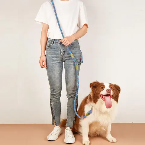 Dog Leash, Puppy Leash, Adjustable Pet Leash for Small Medium Large Dogs, Pet Supplies for Outdoor Walking Travel Decor, Swivel Leash, Safety Leash