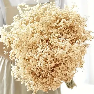 4000+ Dried Babys Breath Flowers Bulk - 17.2" Ivory White Dried Flowers Bouquet, Natural Gypsophila Branches for Vase Filler, Wedding, Home, Table Centerpiece Decor, Dry Flowers Bulk for DIY, Party