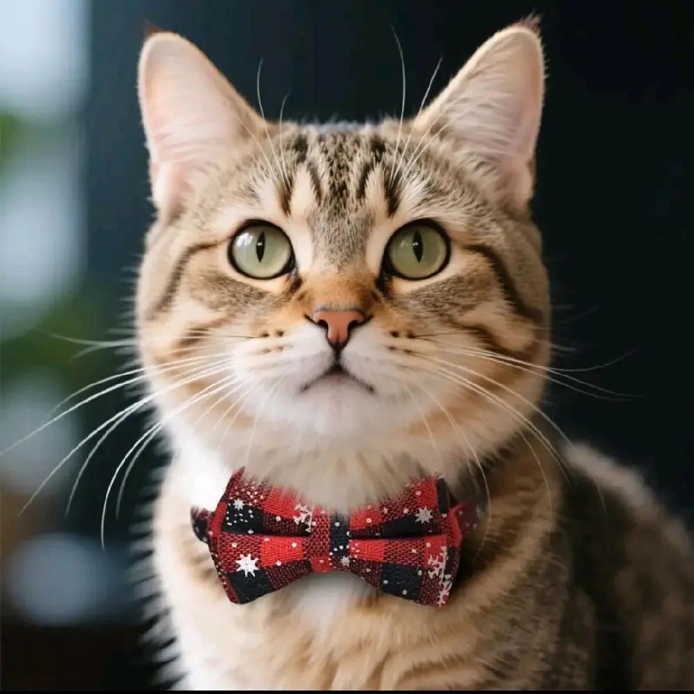 Holiday Plaid Cat Collar with Bow Tie & Bell – Adjustable Christmas Pet Collar