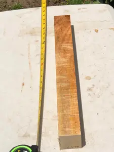 Ultra Curly Mango spindle/pool cue turning blank 19”x7/4”x2”
