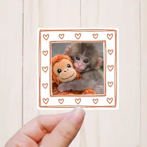 Baby Monkey Punch Sticker, Viral Monkey Punchi, best friend gift, best friend sticker, sticker for laptop, meme stickers