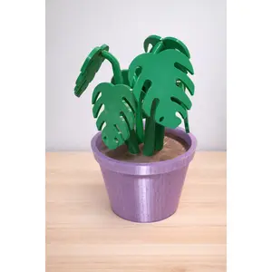 Monstera Plant Coaster Decor