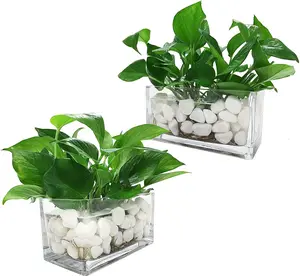 Clear Glass Rectangle Block Vases, Set of 2