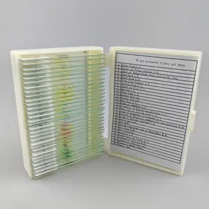 30 Pcs Prepared Microscope Slides Biology Specimen Lab Sample with Insects Plants for Science Learning Home School