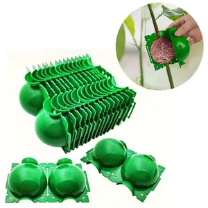 Plant Root Growing Box, 20pcs Plant Root Growing Ball, Grafting Cuttings Root Device, Suitable for Plant Root, Root Ball, Plant Rooting Ball, Garden Supplies