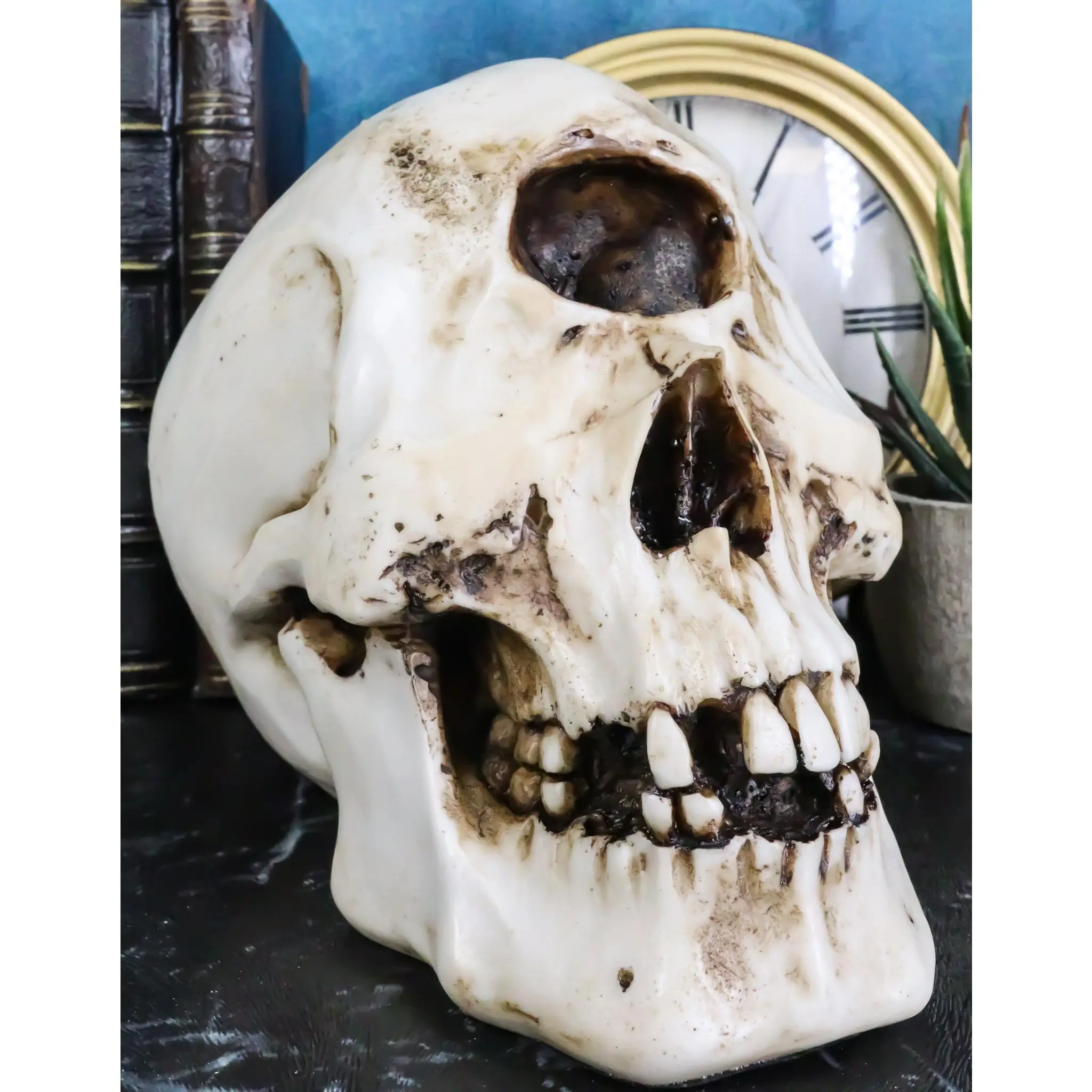 Greek Primordial Giant Cyclops Skull Statue Homer’s Odyssey Legend Hephaestus