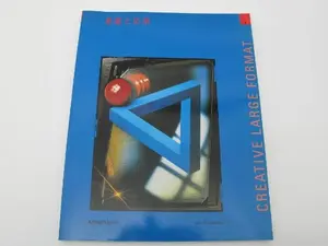 USED-Basics and Applications (Creative Large Format Photography) by Urs Tillmanns (Paperback)
