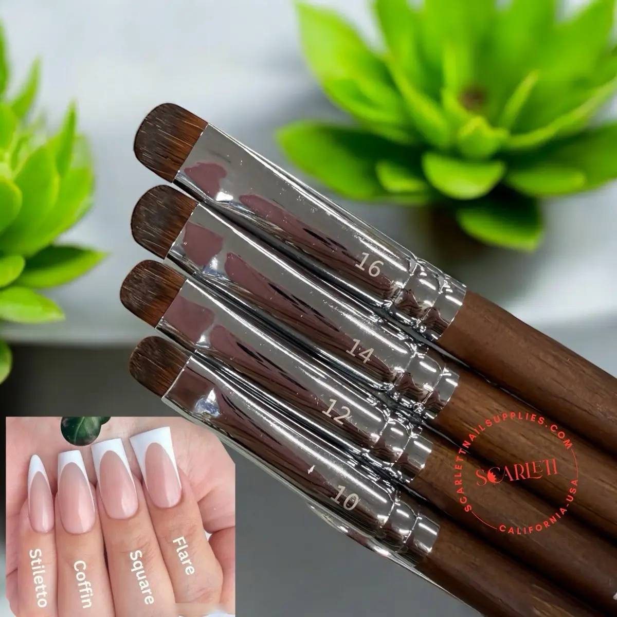French Brush FlexOne - High Quality - Size 8/10/12/14/16 French Brush FlexOne - High Quality - Size 8/10/12/14/16