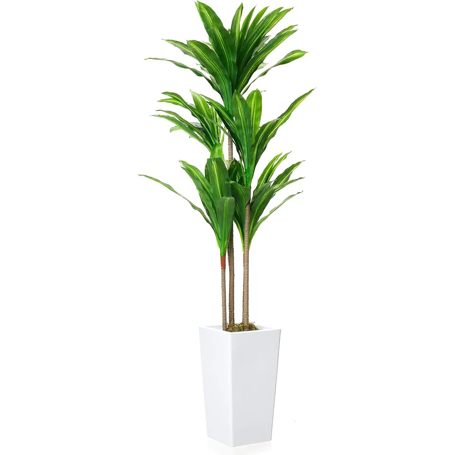 GARVEE 4.8FT Artificial Dracaena Fragrans Tree in White Tall Planter, Decorative Evergreen Tropical Fake Potted Plant, for Home Room Decor, Ideal Gift