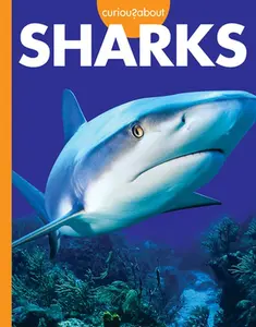 USED-Curious about Sharks by Hansen, Amy S. (Paperback)