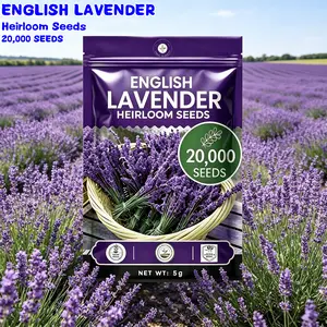 English Lavender Heirloom Seeds (20000 Count) - Non-GMO, High Germination Rate, Natural Pest Repellent for Home Gardens, DIY Sachets