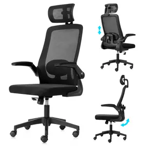 Ergonomic Home Office Chair with Adjustable Lumbar Support Adjustable Headrest,Comfy High Back, Breathable Mesh Computer Gaming Chair with Flip-Up Armrests (Black)