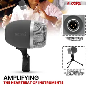 5 Core Tabla Mic Indian Instrument Microphone Set for Bayan Dayan Dholak Mic for Studio Stage Temple
