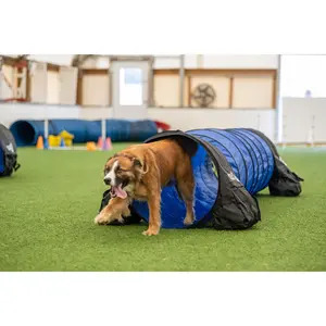 Better Sporting Dogs 10 ft Dog Agility Tunnel with Sandbags – Training Tunnel for Backyard Agility Courses