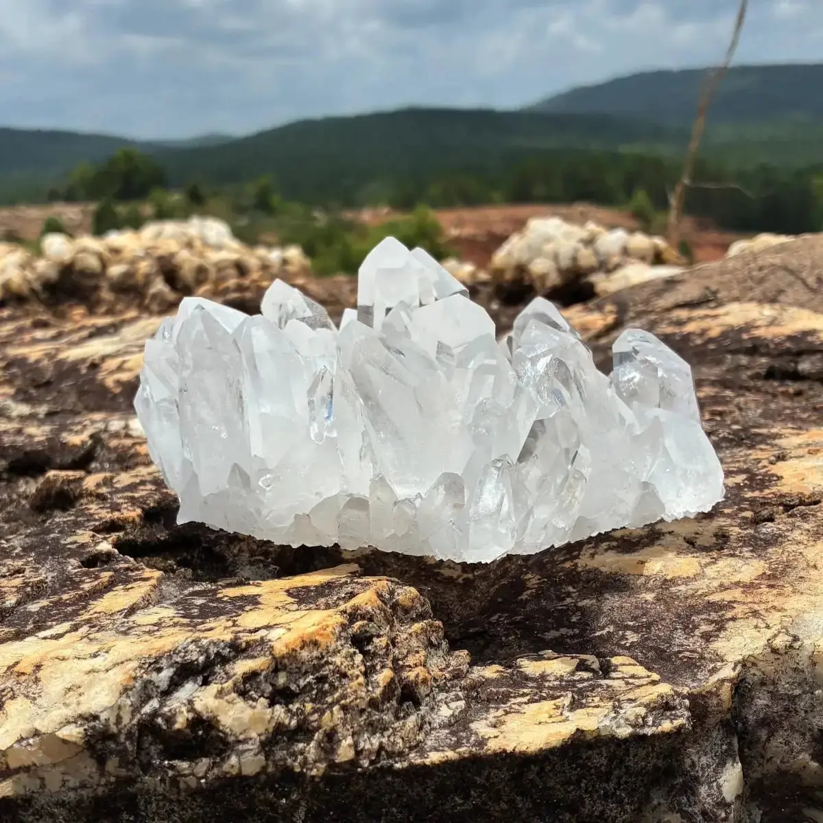 Clear Quartz Crystal Cluster 5 1/2 Inches