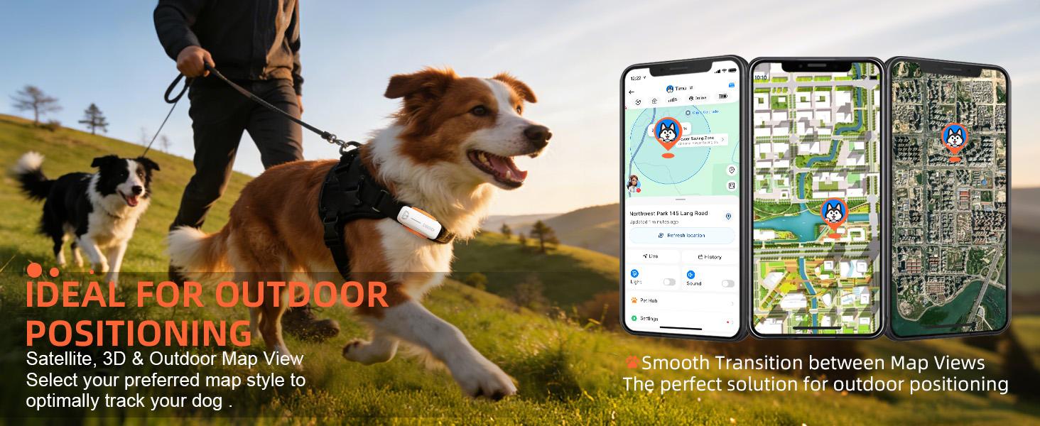DBDD AI GPS Tracker for Dogs (30lbs+), Real Time Location and AI Health Assistant, Electronic Fence, Waterproof, iOS and Android Universal Cat