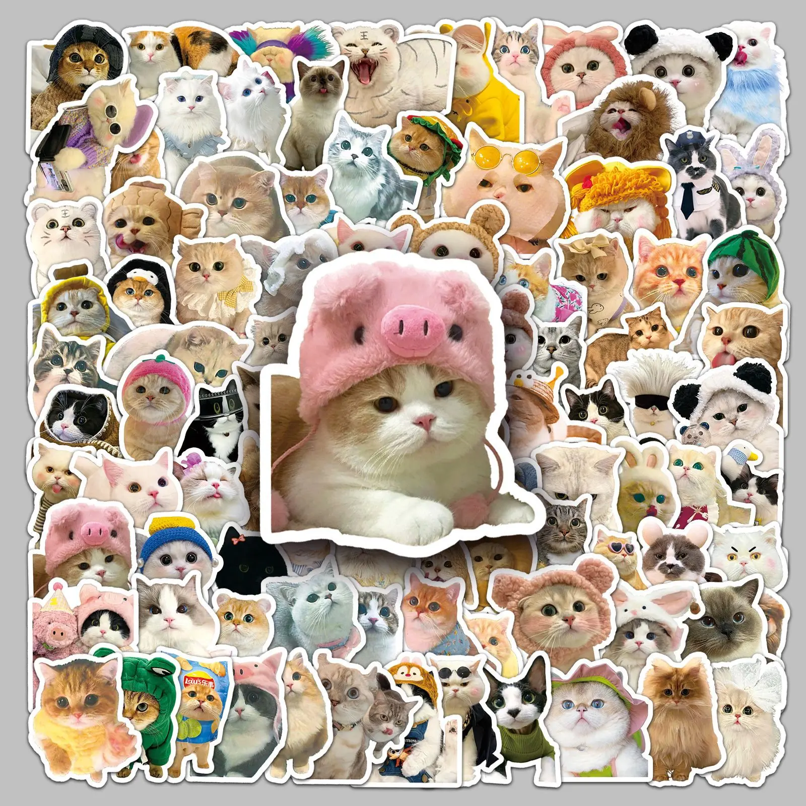 100 Adorable Cat and Pet Funny Emoji Stickers, Suitable for Scrapbooks, Diaries, Laptops, Water Bottles, Cars, and Other Items. A Gift with A Positive Message and Based on Beliefs.