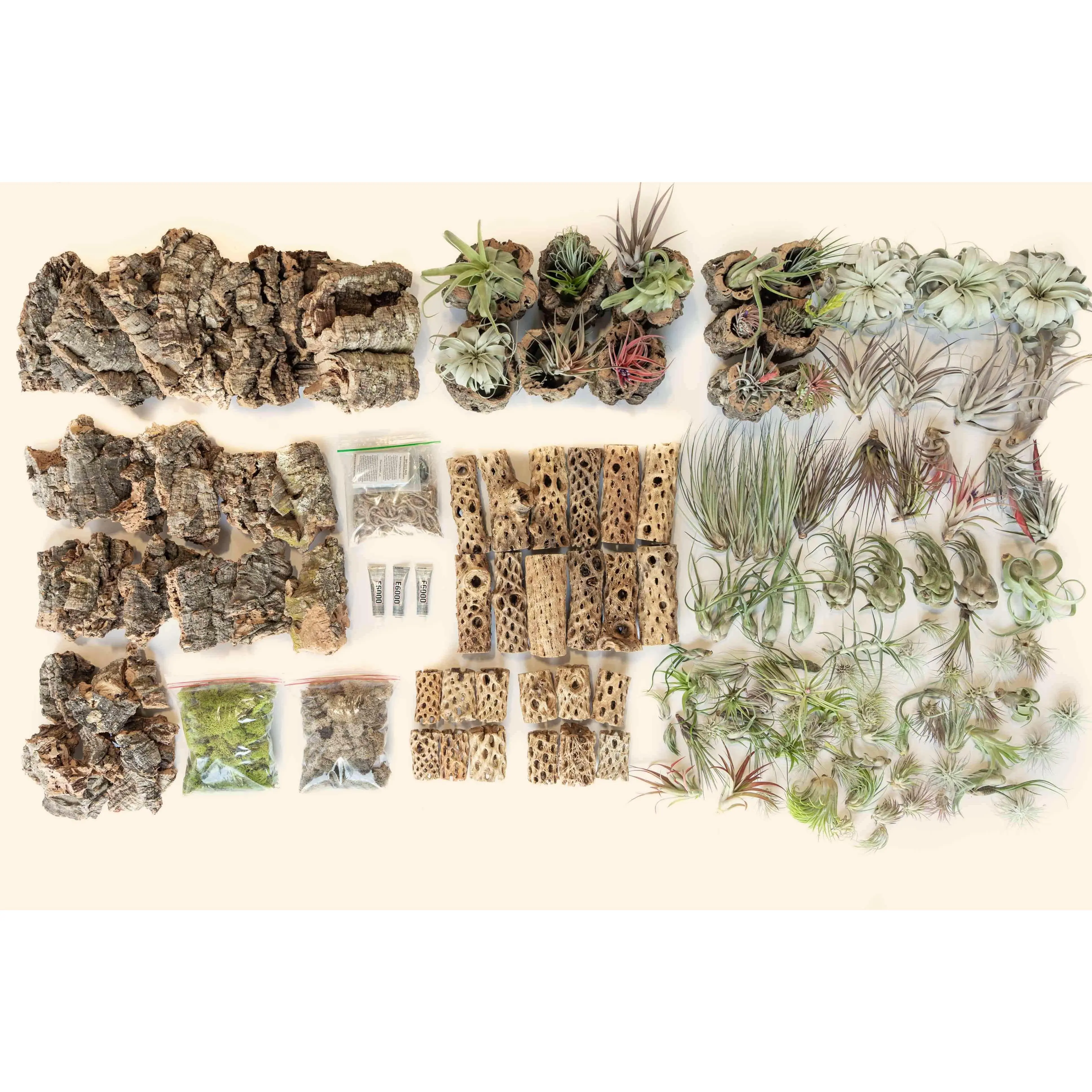 Wholesale: Crafty Cork and Cholla DIY Variety Bundle