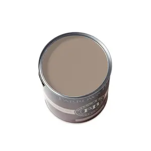 Farrow & Ball Dead Salmon Paint NO. 28 🚚 Free Shipping!